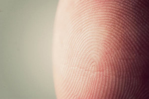 38-365-fingerprint_l